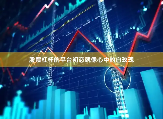 股票杠杆的平台初恋就像心中的白玫瑰